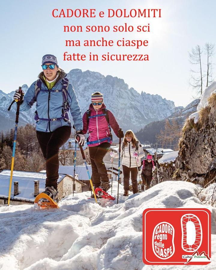 Villa Nani Pieve di Cadore Zewnętrze zdjęcie